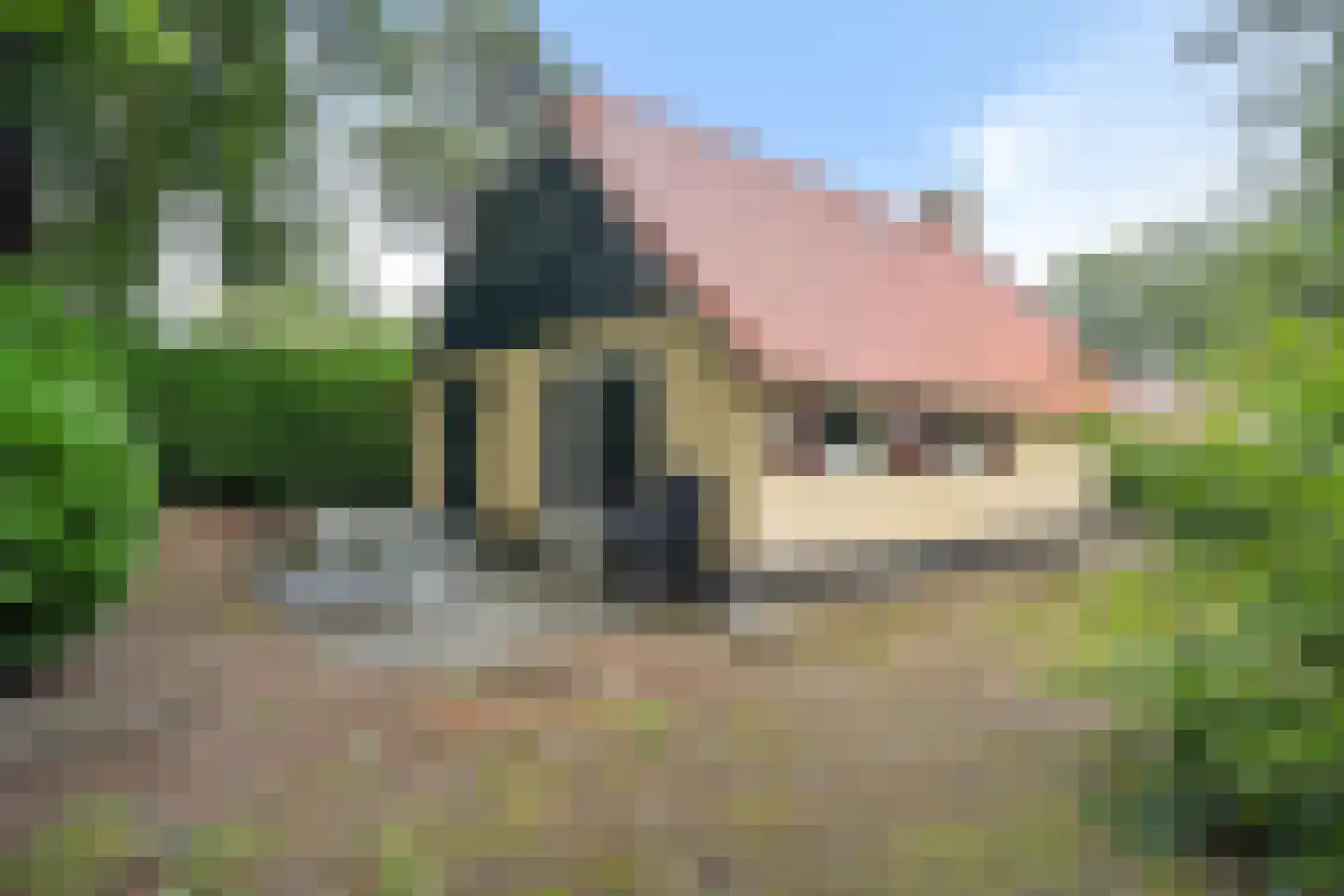 't Hertenspoor 5 Diever foto 3