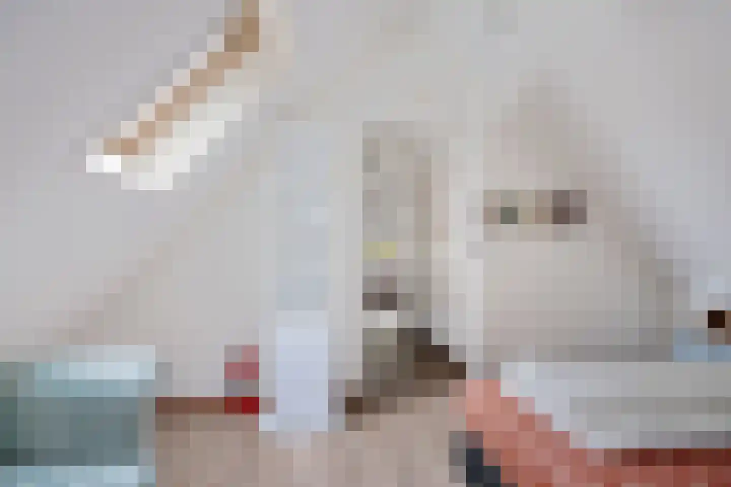 't Hertenspoor 5 Diever thumbnail 30