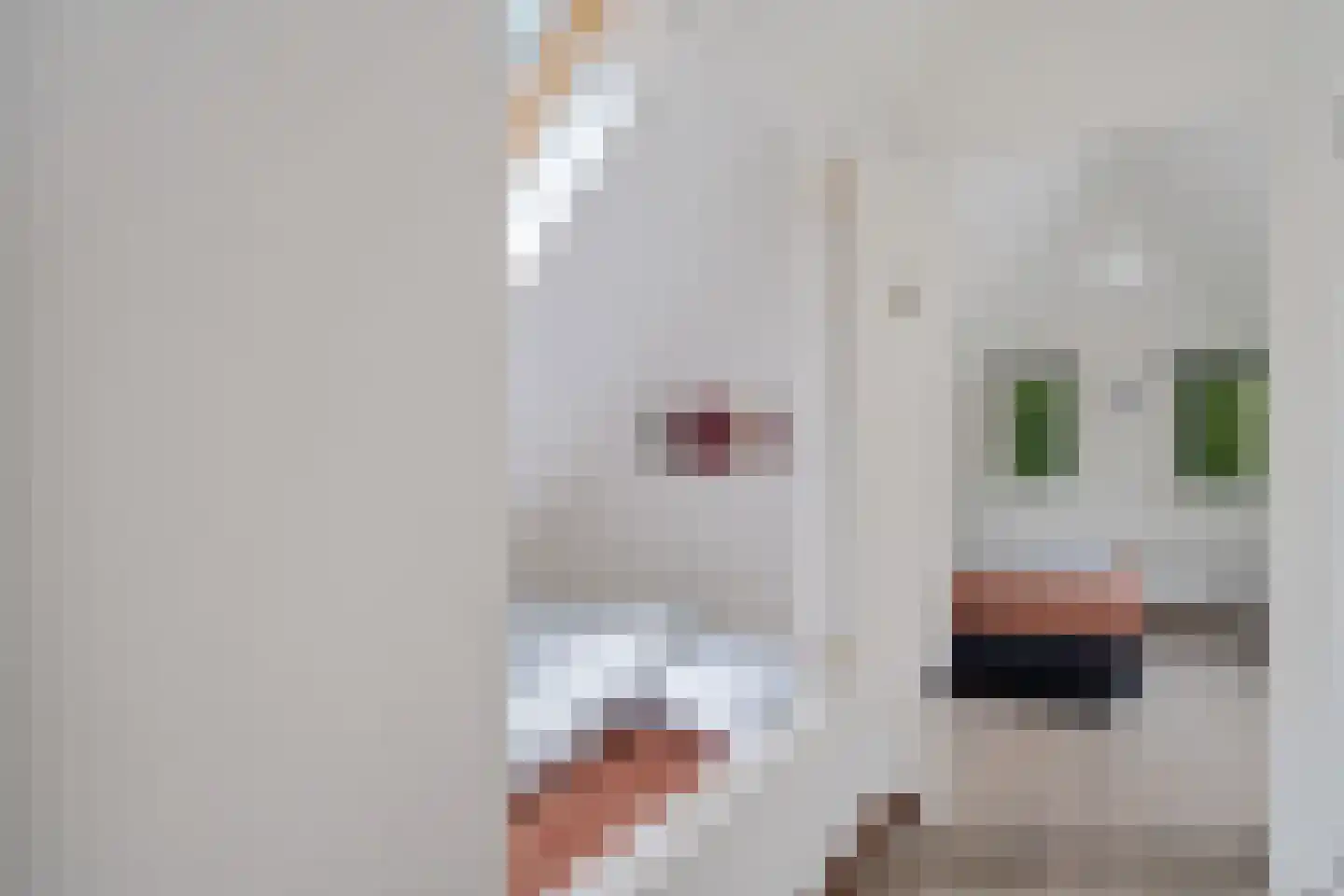 't Hertenspoor 5 Diever thumbnail 31