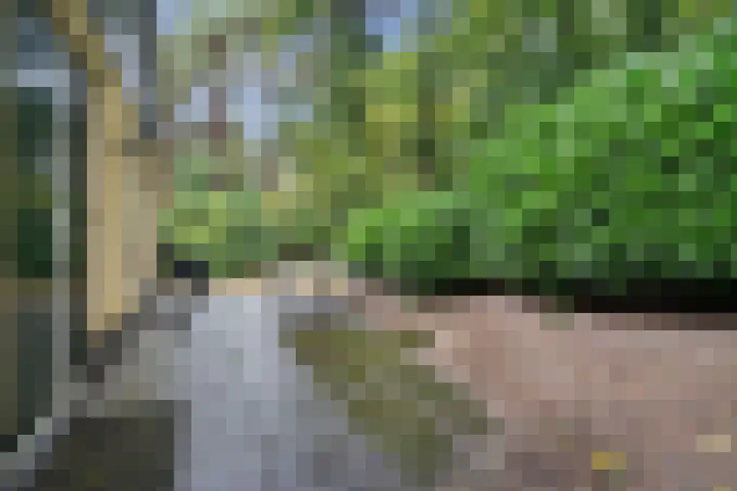 't Hertenspoor 5 Diever thumbnail 34