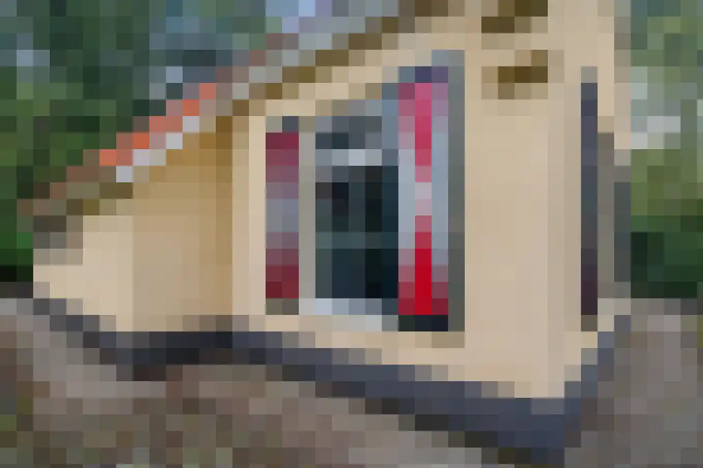 't Hertenspoor 5 Diever thumbnail 35