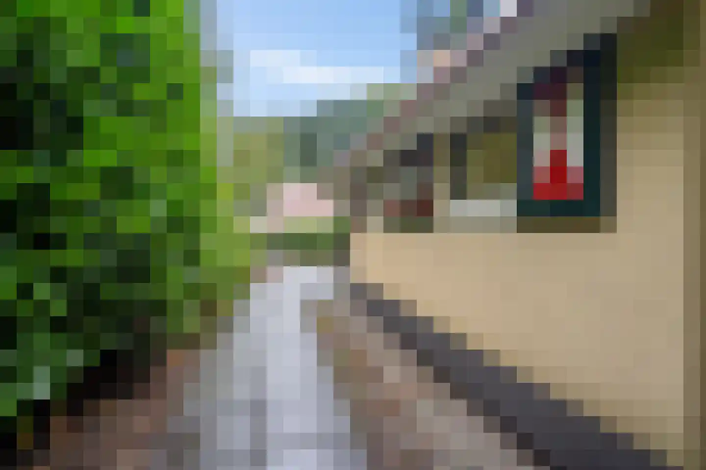 't Hertenspoor 5 Diever thumbnail 36