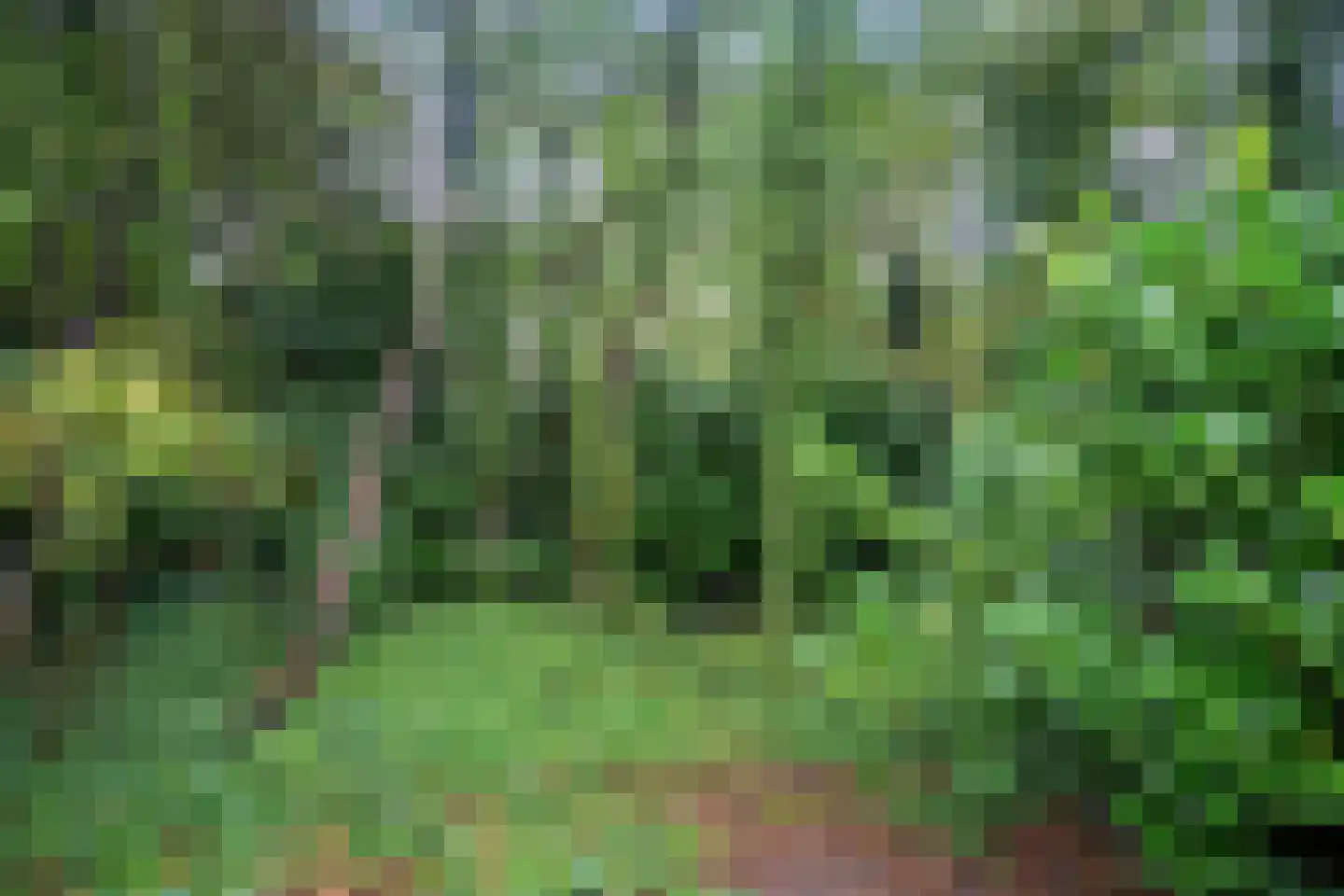 't Hertenspoor 5 Diever thumbnail 37