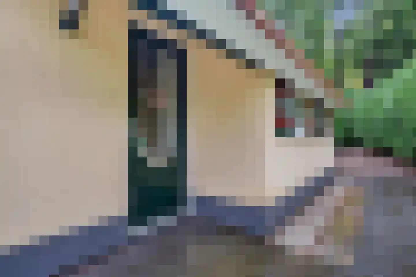 't Hertenspoor 5 Diever thumbnail 4