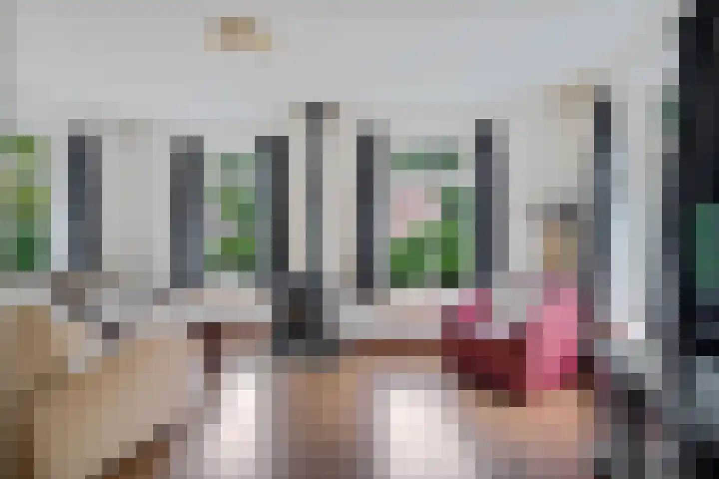 't Hertenspoor 5 Diever thumbnail 6