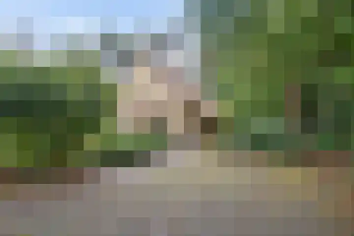't Hertenspoor 65 Diever