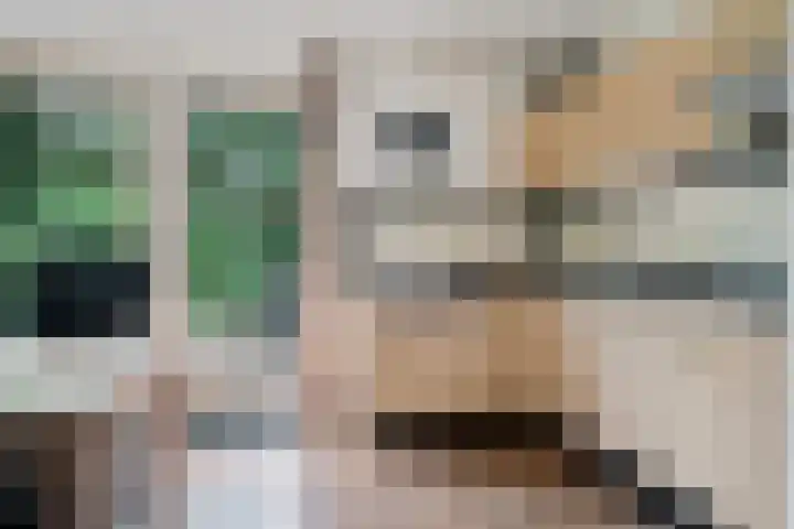 't Hertenspoor 65 Diever thumbnail 13