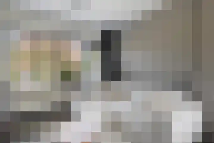 't Hertenspoor 65 Diever thumbnail 14