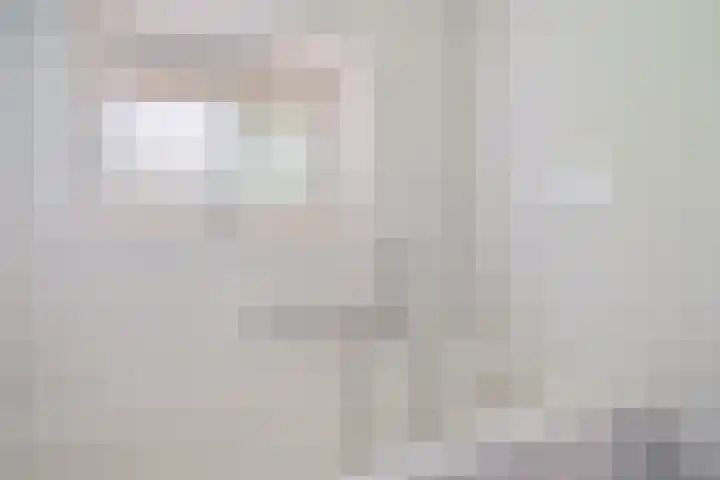 't Hertenspoor 65 Diever thumbnail 16