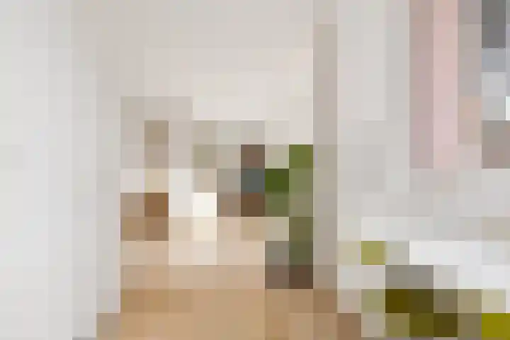 't Hertenspoor 65 Diever thumbnail 18