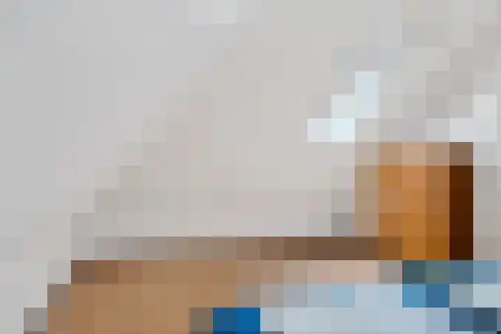 't Hertenspoor 65 Diever thumbnail 28