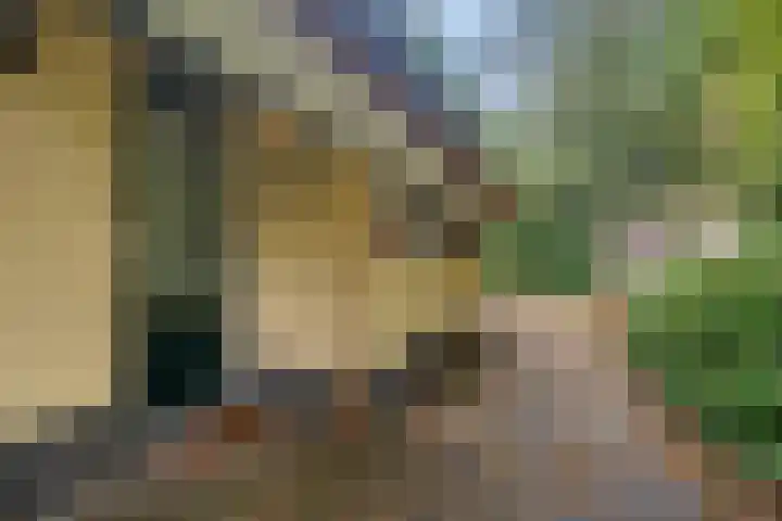 't Hertenspoor 65 Diever thumbnail 31