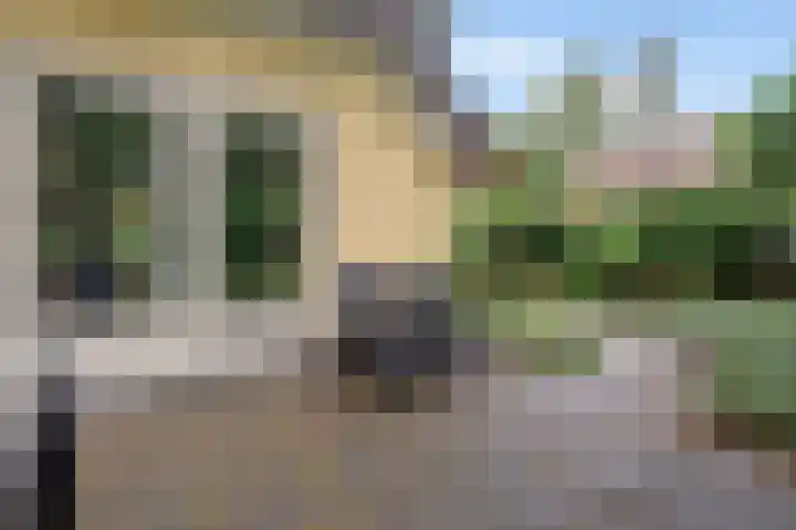 't Hertenspoor 65 Diever thumbnail 33