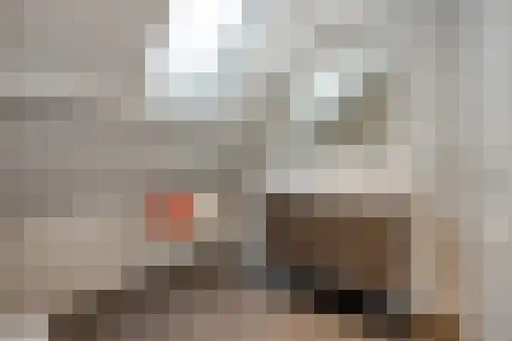 't Hertenspoor 65 Diever thumbnail 34