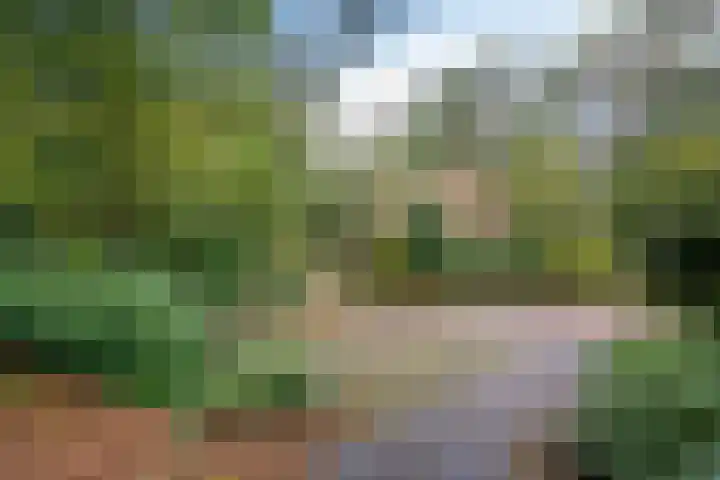 't Hertenspoor 65 Diever thumbnail 37