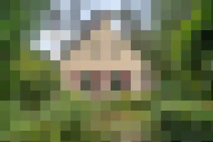 't Hertenspoor 65 Diever thumbnail 38