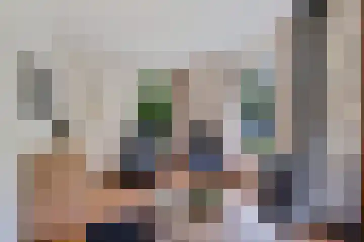 't Hertenspoor 65 Diever thumbnail 8