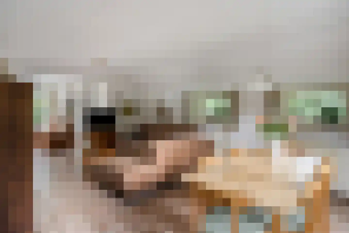 't Hertenspoor 73 Diever thumbnail 17