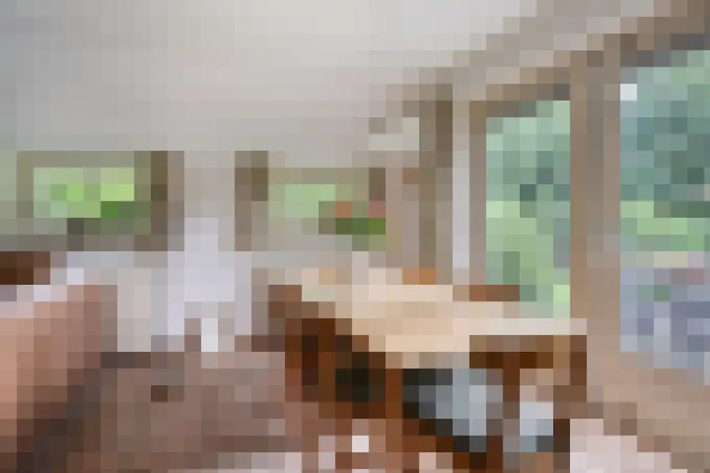 't Hertenspoor 73 Diever thumbnail 18