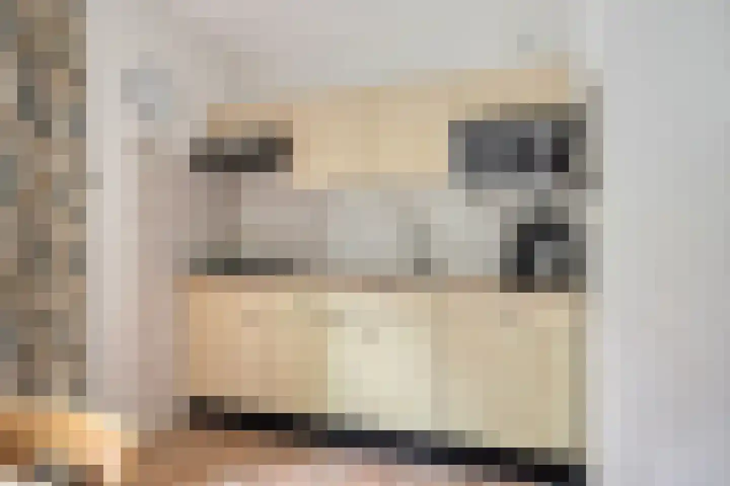 't Hertenspoor 73 Diever thumbnail 19