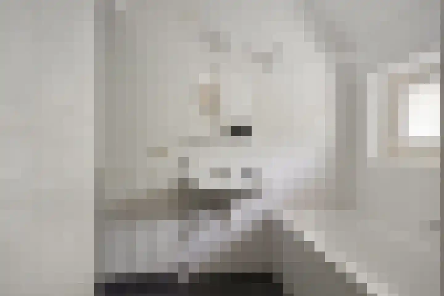 't Hertenspoor 73 Diever thumbnail 21