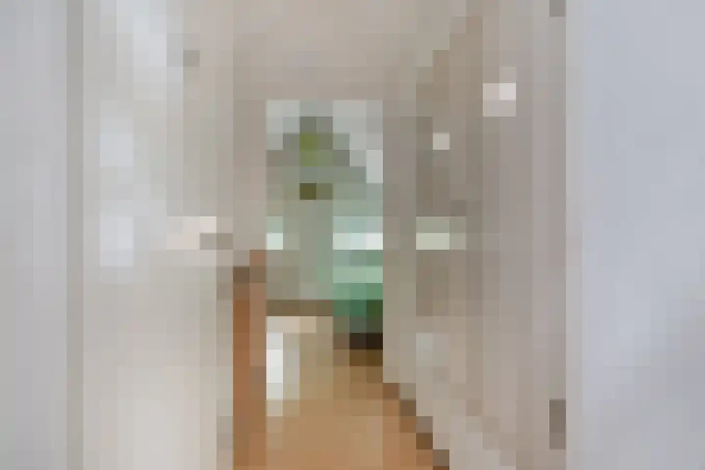 't Hertenspoor 73 Diever thumbnail 25