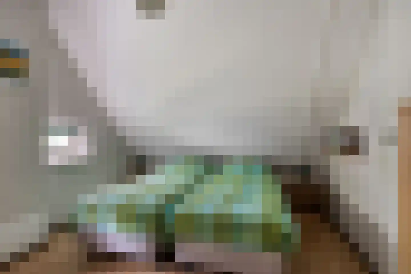 't Hertenspoor 73 Diever thumbnail 26