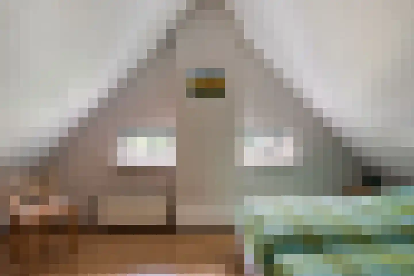 't Hertenspoor 73 Diever thumbnail 27