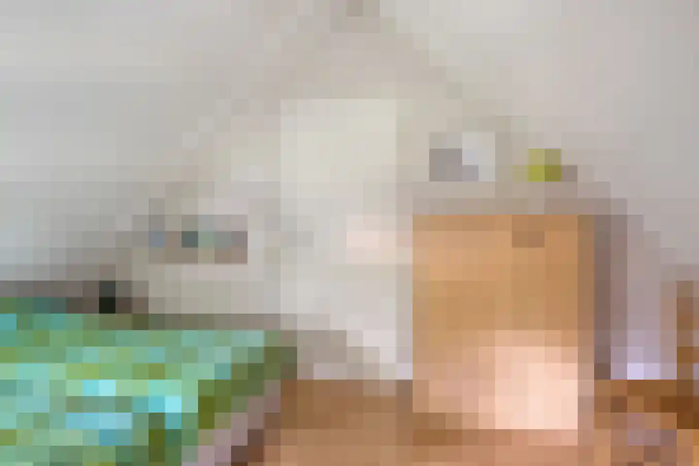 't Hertenspoor 73 Diever thumbnail 28