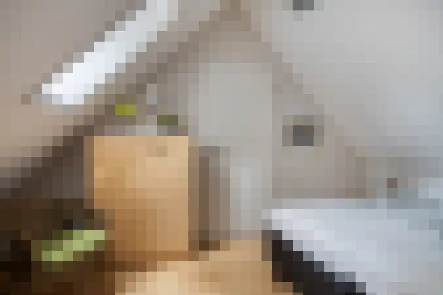 't Hertenspoor 73 Diever thumbnail 31