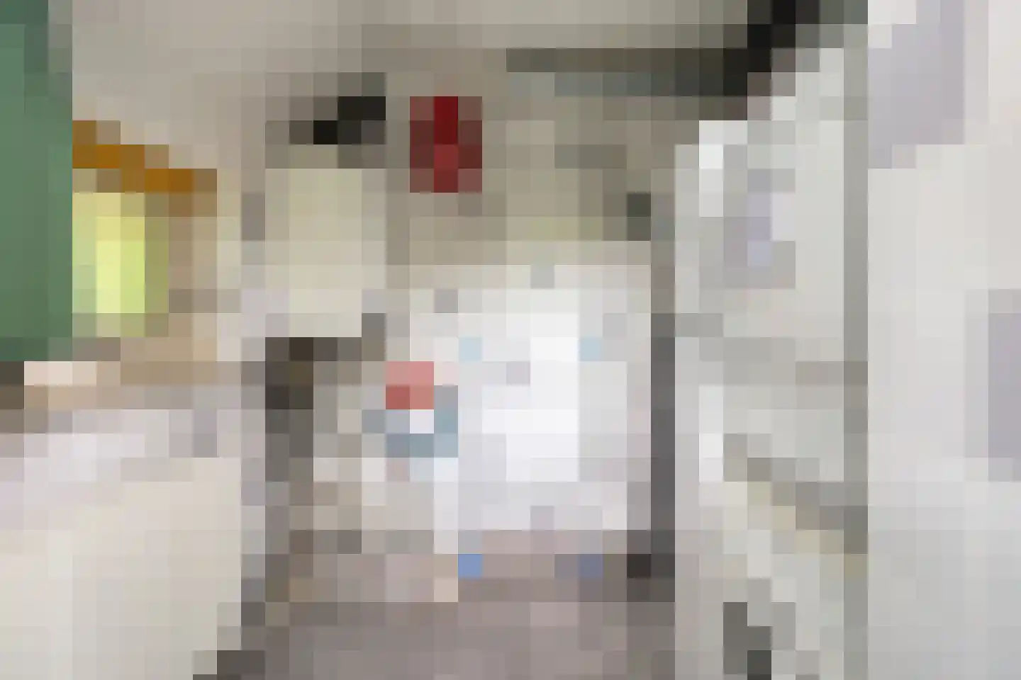 't Hertenspoor 73 Diever thumbnail 33