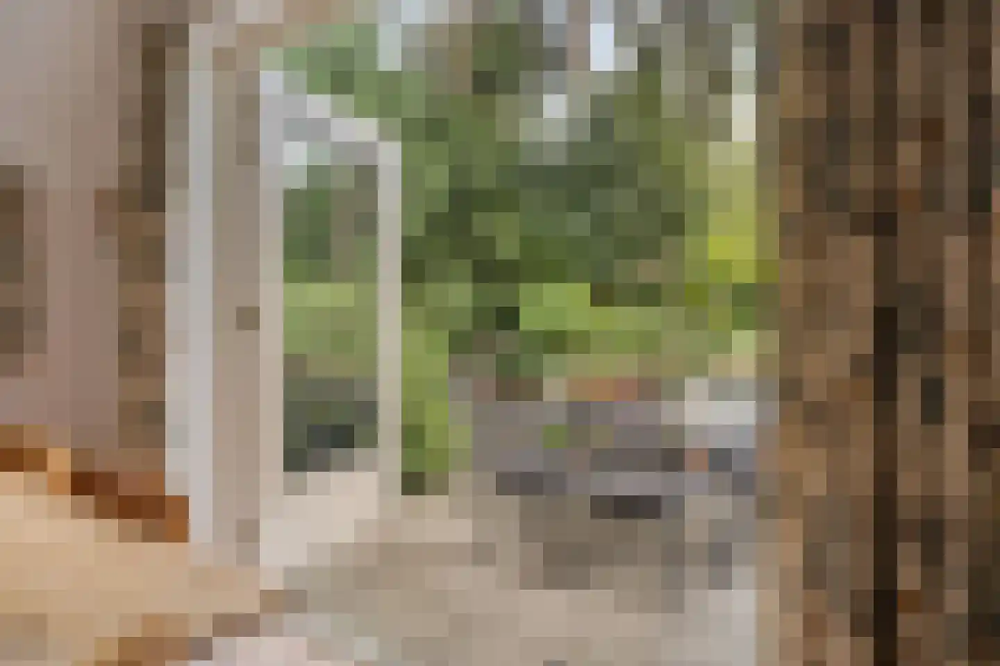 't Hertenspoor 73 Diever thumbnail 35