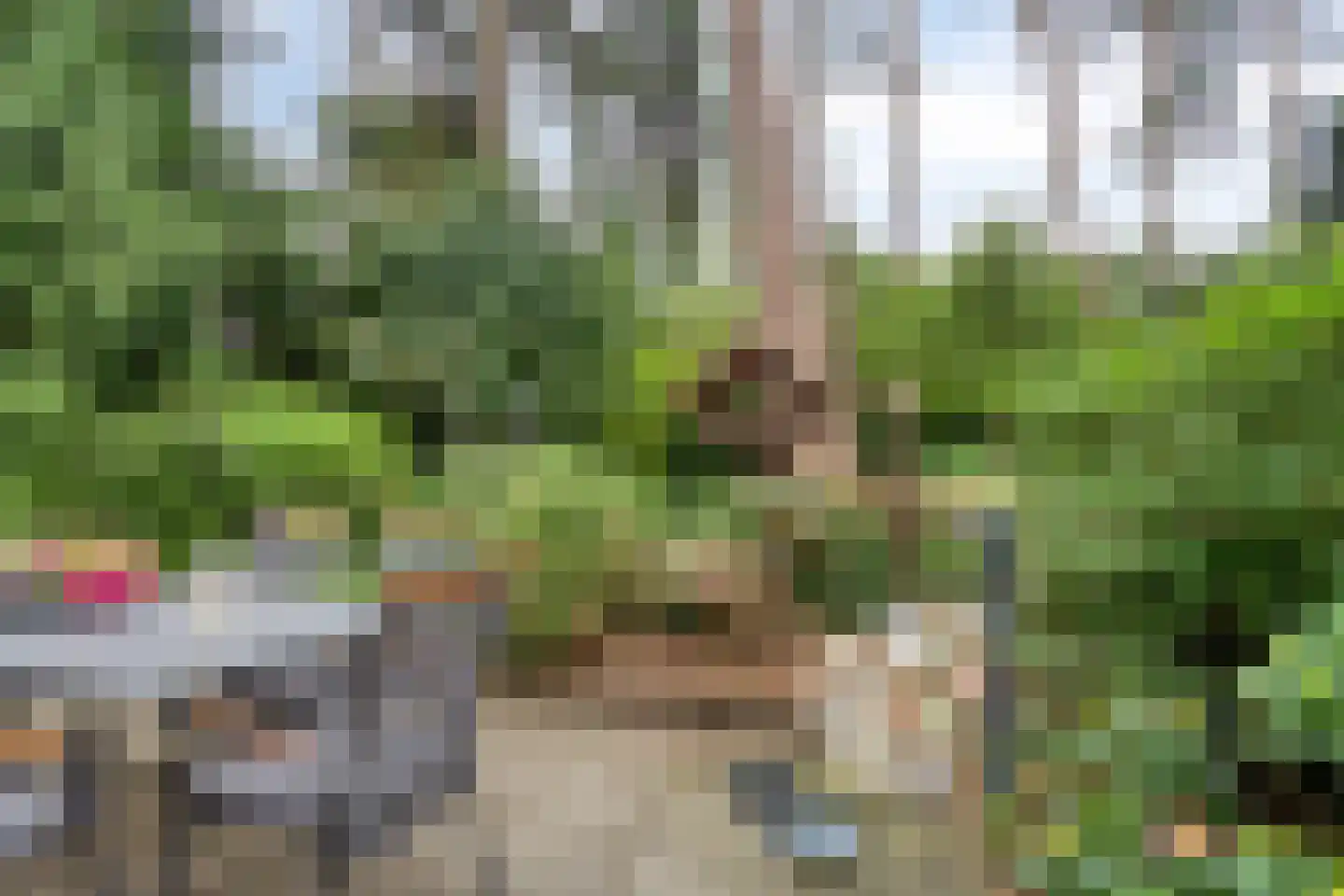 't Hertenspoor 73 Diever thumbnail 36