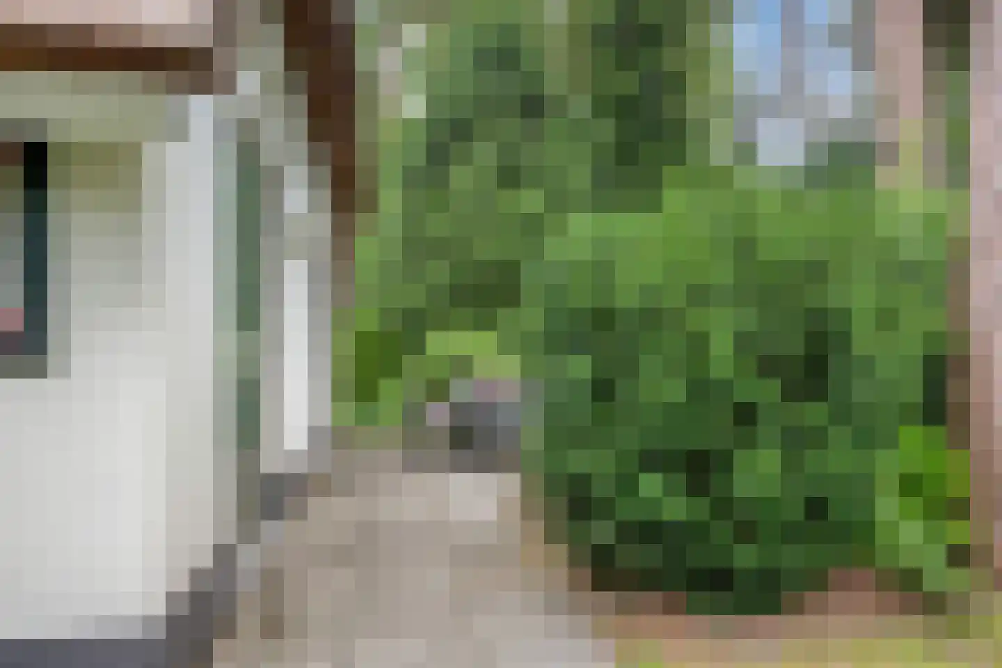 't Hertenspoor 73 Diever thumbnail 38