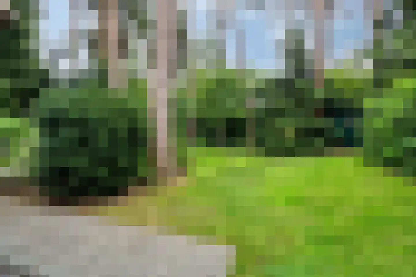 't Hertenspoor 73 Diever thumbnail 39