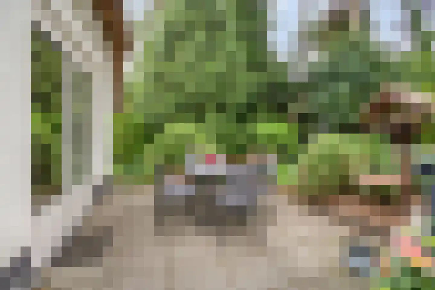 't Hertenspoor 73 Diever thumbnail 4