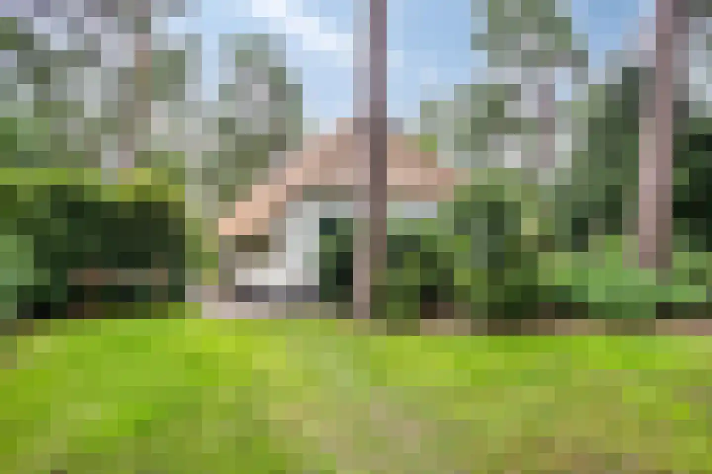 't Hertenspoor 73 Diever thumbnail 41