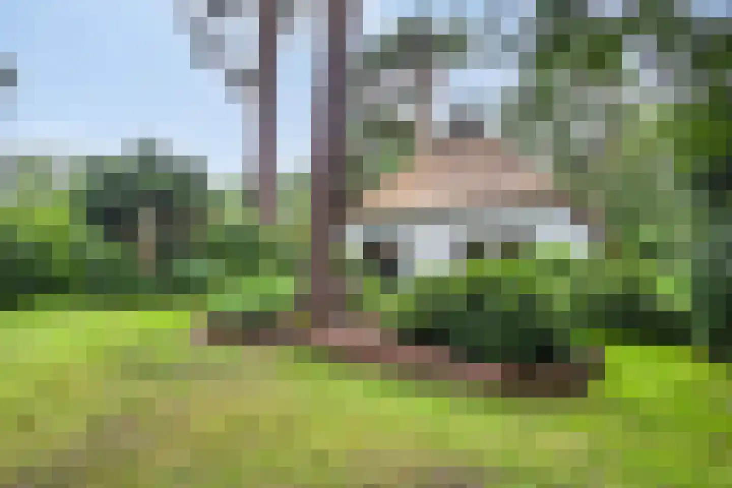 't Hertenspoor 73 Diever thumbnail 42