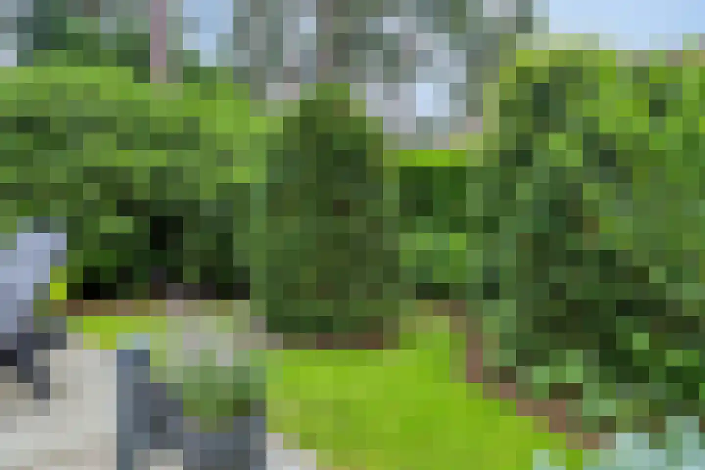 't Hertenspoor 73 Diever thumbnail 43