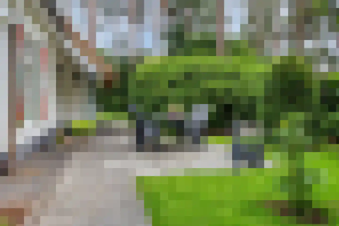 't Hertenspoor 73 Diever thumbnail 44