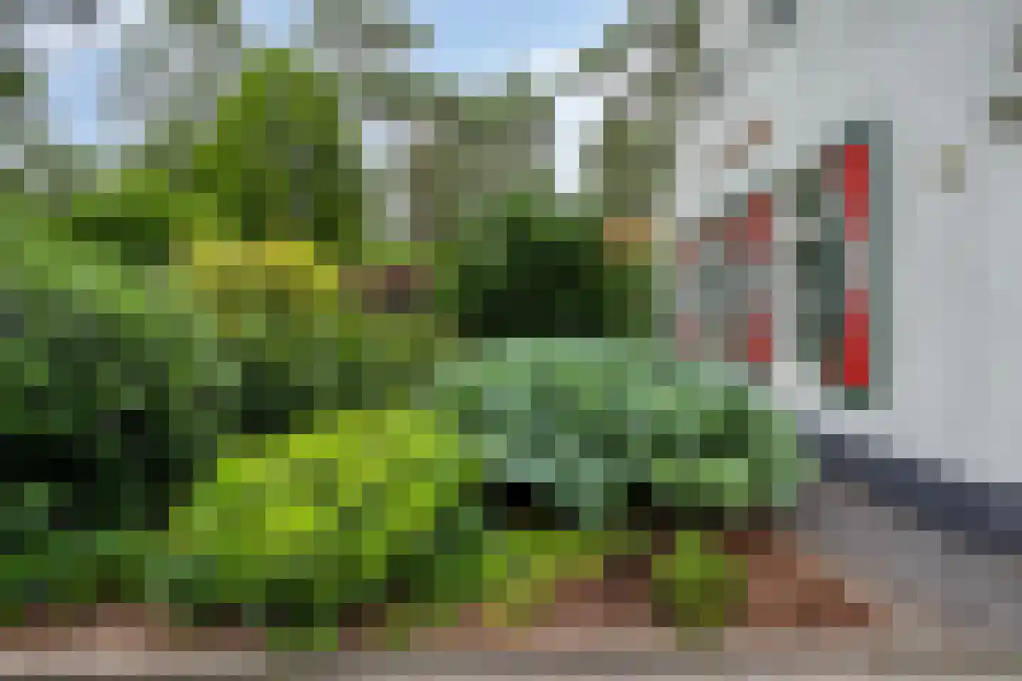 't Hertenspoor 73 Diever thumbnail 45