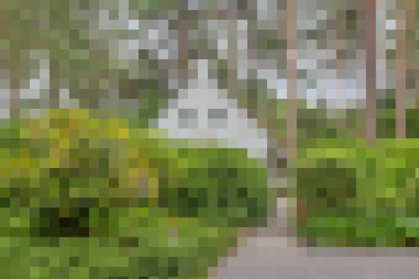 't Hertenspoor 73 Diever thumbnail 46