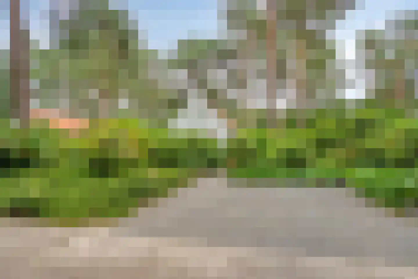 't Hertenspoor 73 Diever thumbnail 47
