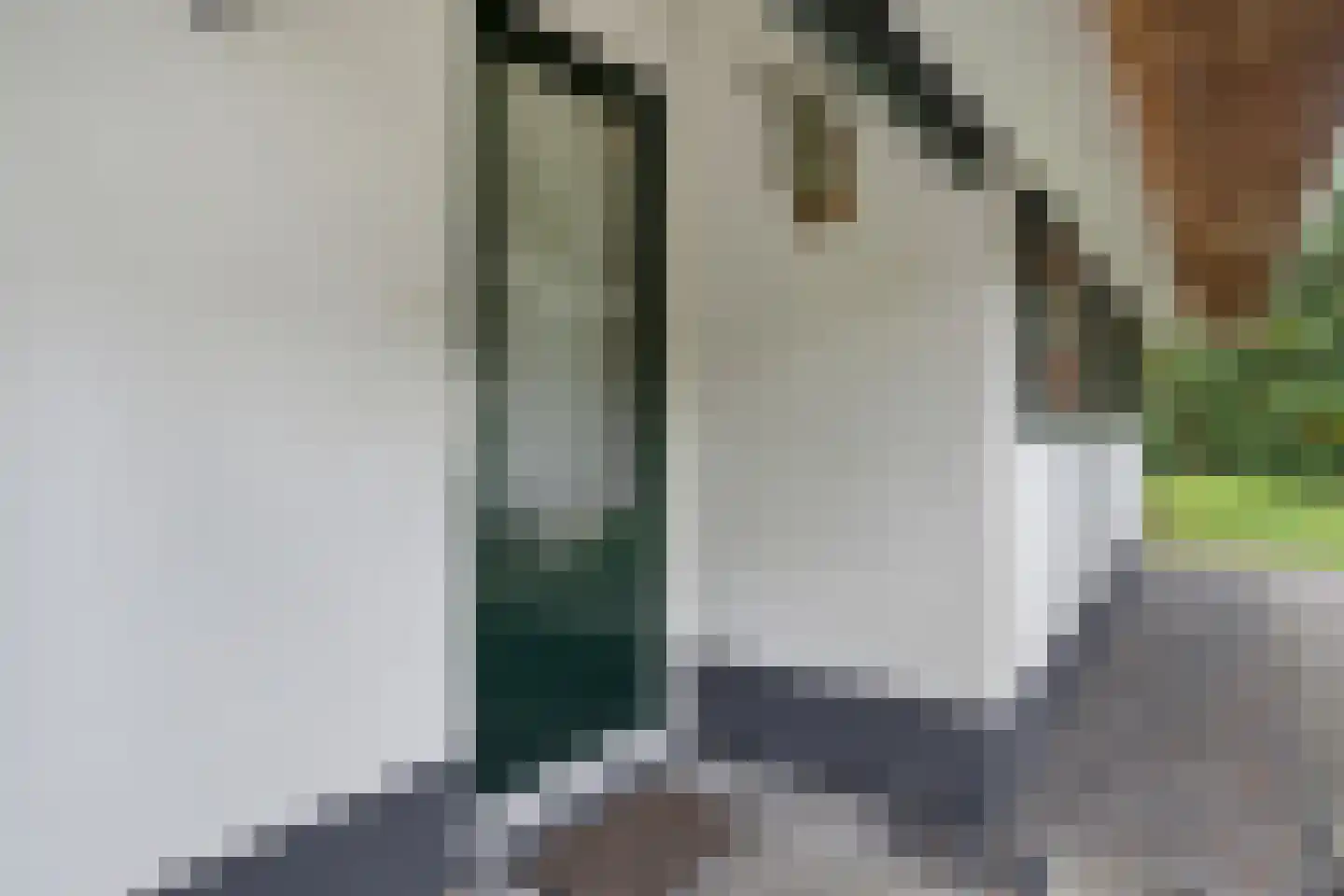 't Hertenspoor 73 Diever thumbnail 5