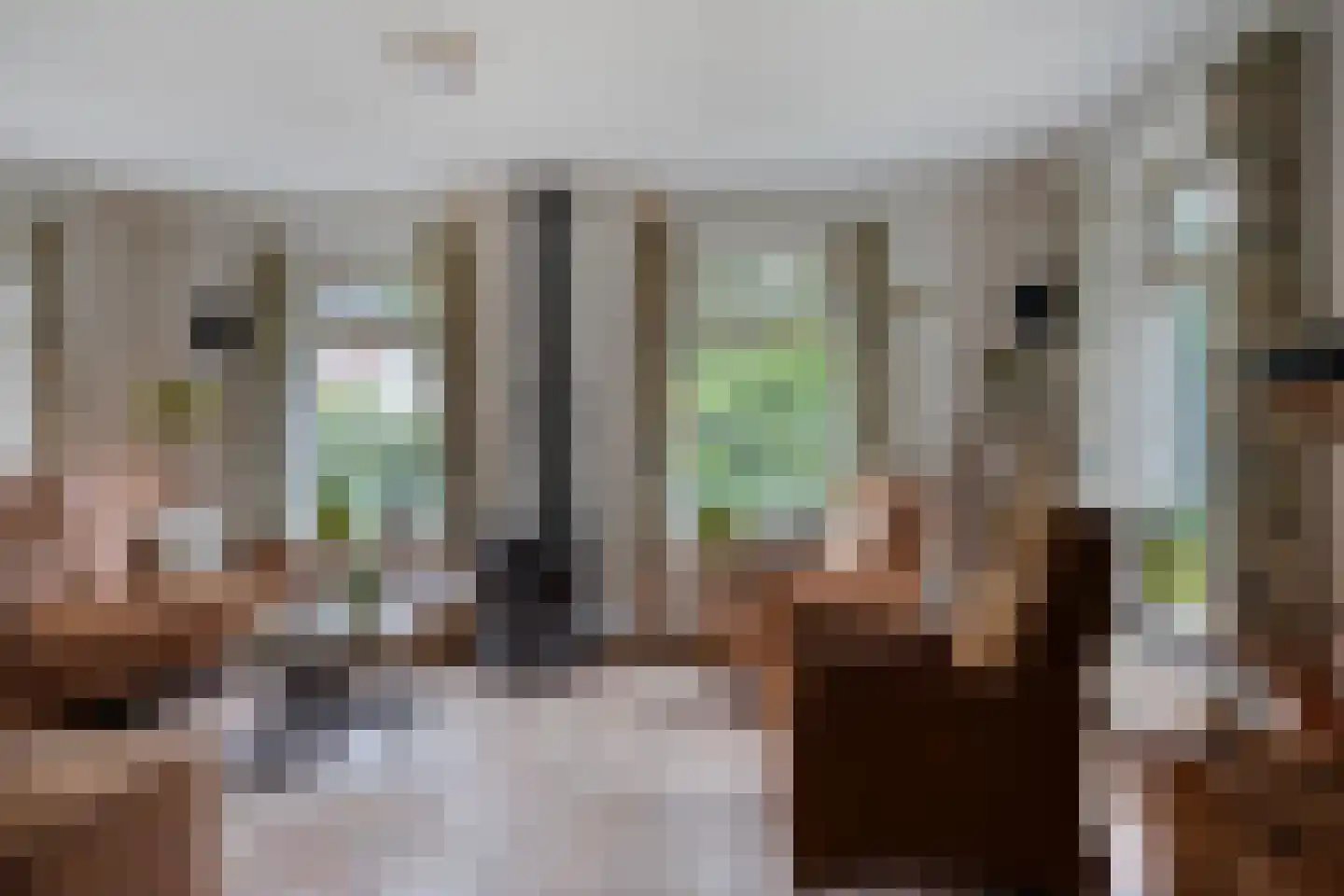 't Hertenspoor 73 Diever thumbnail 9