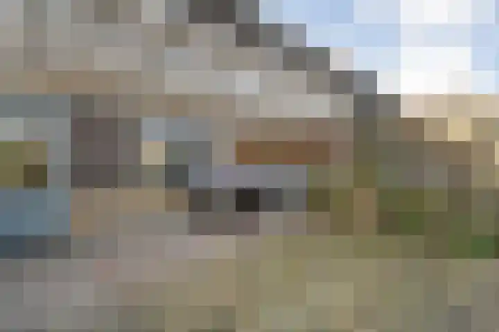 't Heuivak 10 Nijeveen thumbnail 24