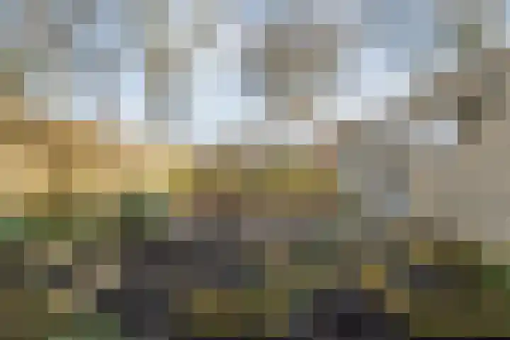 't Heuivak 10 Nijeveen thumbnail 26