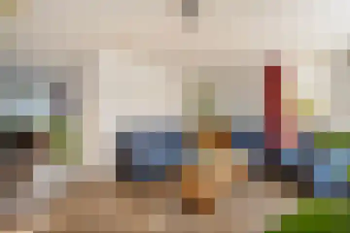 't Heuivak 10 Nijeveen thumbnail 4