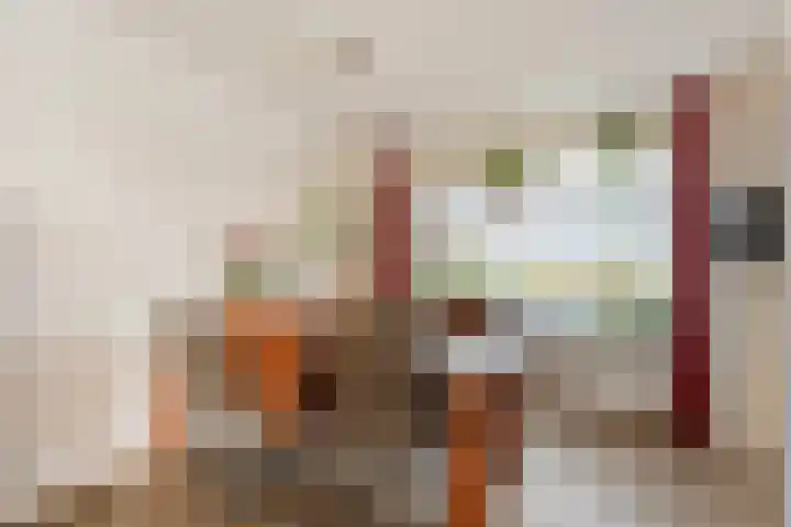 't Heuivak 10 Nijeveen thumbnail 6