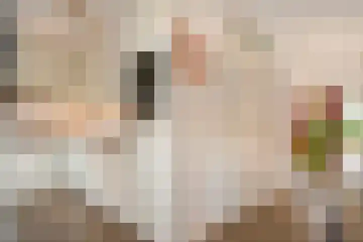 't Heuivak 10 Nijeveen thumbnail 7